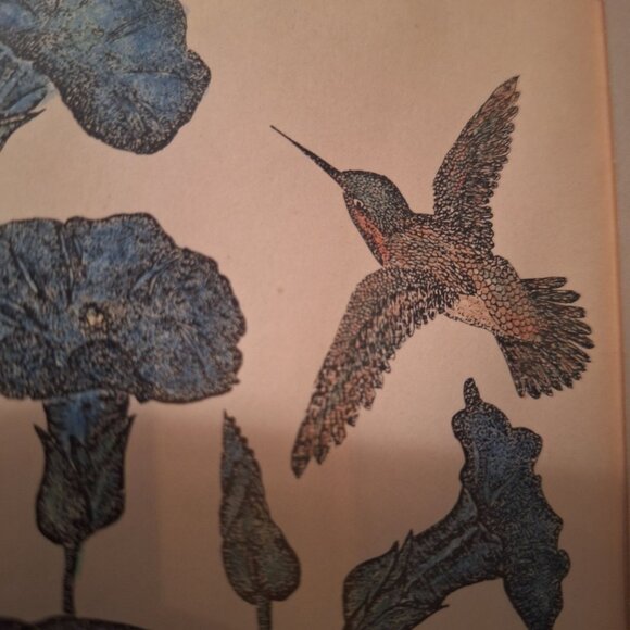 Annarae‎ Anderson Limited Edition Hummingbird Flowers Framed Artwork 101 of 500 - Picture 6 of 6